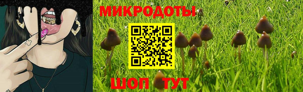 Галлюциногенные грибы мицелий Южноуральск