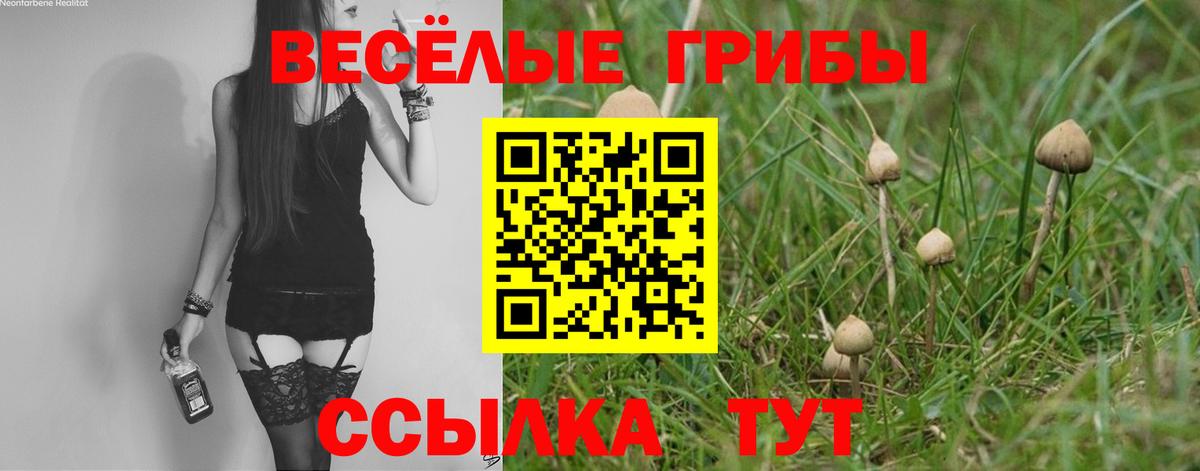 Южноуральск  Галлюциногенные грибы мухоморы  продажа наркотиков  Вход с VPN 